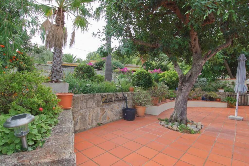 Agradable Casa Con Piscina Privada Y Jardin Villa Denia Dış mekan fotoğraf